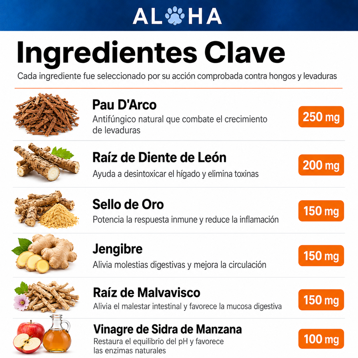 Infección por levadura