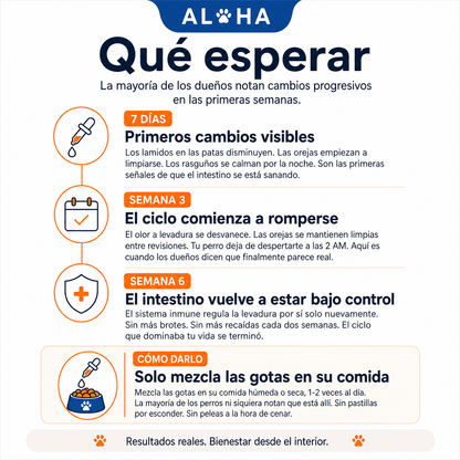 Infección por levadura