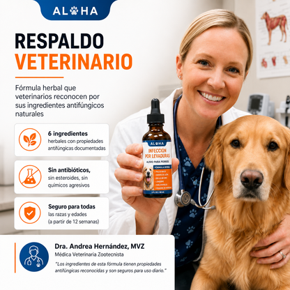Infección por levadura
