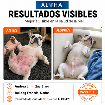 Infección por levadura
